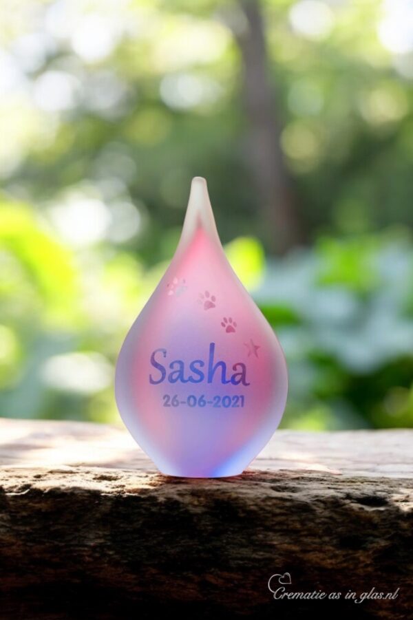 Small pink and blue frosted glass urn with sandblasted dog paw prints