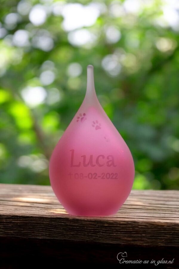 Small frosted pink glass urn with sandblasted dog paw prints