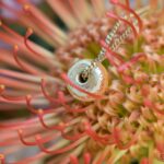 partially visible ashes