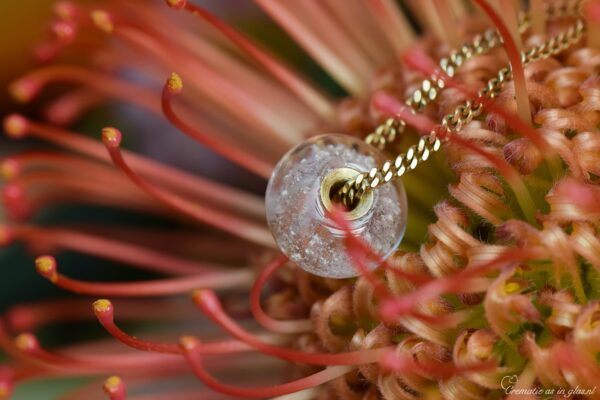 DSGG6005 | Glass&Golds Purity - Image 2