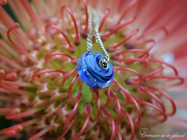 Blue Glass&Golds Saphira bead with 14k gold core and ashes