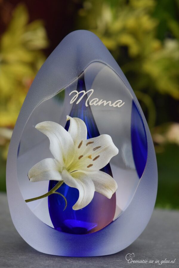DGU1035 | Design Urn glass Reflection - Image 4