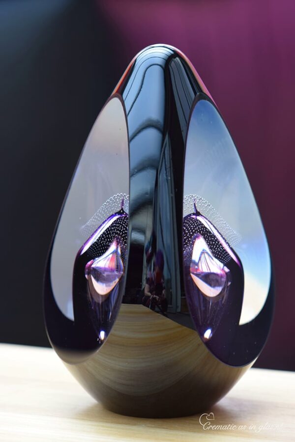 DGU1032 | Design Urn  glass Pandora - Image 3