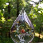 Glass urn with robin bird on oak tree with leaves and acorns