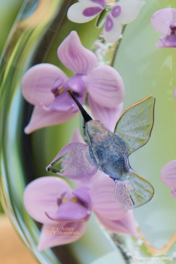 hummingbird and butterfly