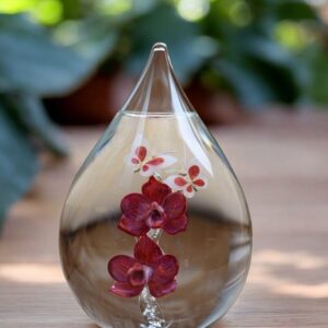 Glass urn large model with transparent stem