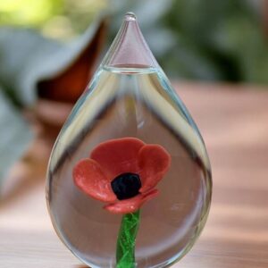 Glass urn large model with poppy and green transparent stem
