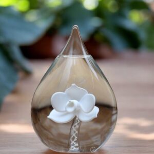 Glass urn large model with transparent stem and white orchid