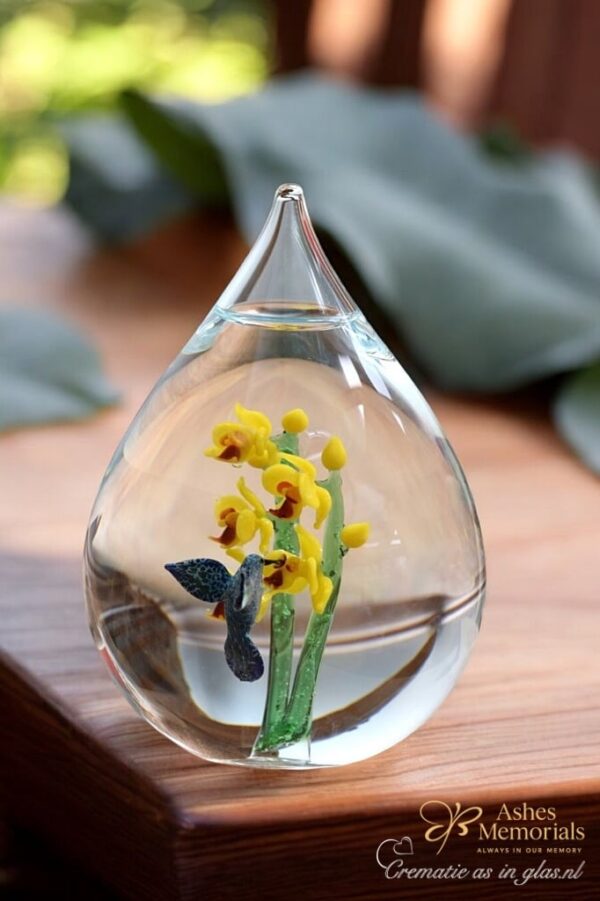 Glass urn large model with yellow orchids and hummingbird