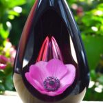 Design urn made of glass with transparent pink ash chamber and image of a pink poppy – suitable for cremation ashes.